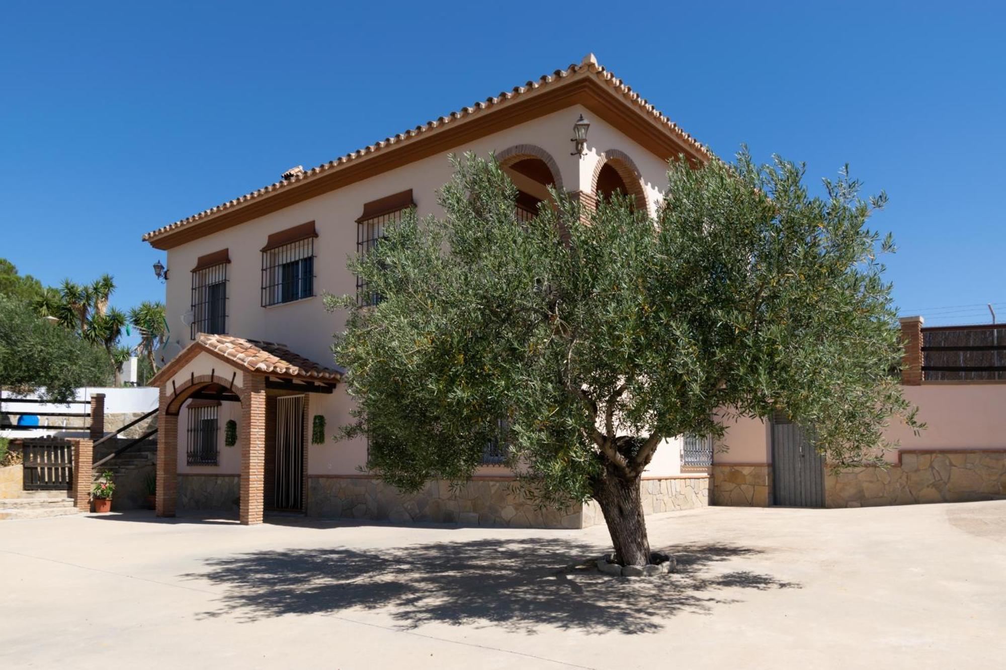 Casa Los Olivos Alora - Caminito Del Rey Extérieur photo